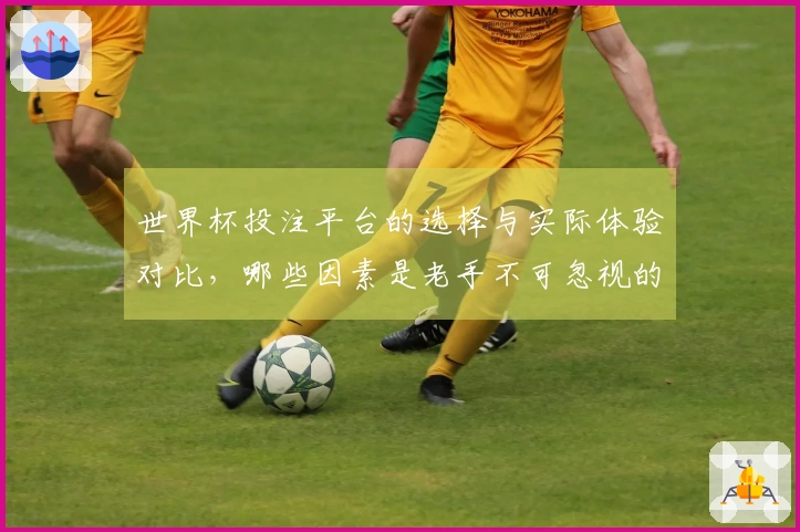 世界杯投注平台的选择与实际体验对比，哪些因素是老手不可忽视的？