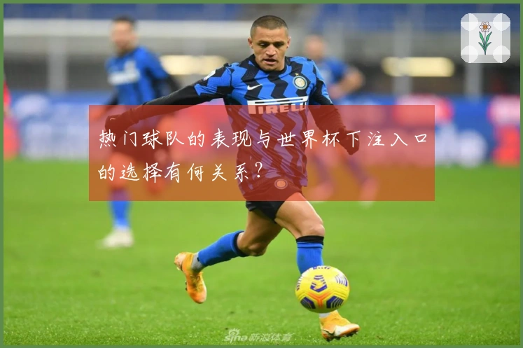 热门球队的表现与世界杯下注入口的选择有何关系？