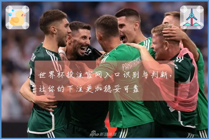 世界杯投注官网入口识别与判断，让你的下注更加稳妥可靠