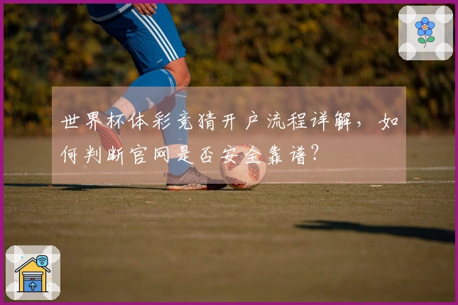 世界杯体彩竞猜开户流程详解，如何判断官网是否安全靠谱？