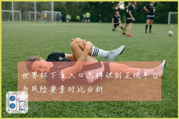 世界杯下注入口怎样识别正规平台与风险要素对比分析