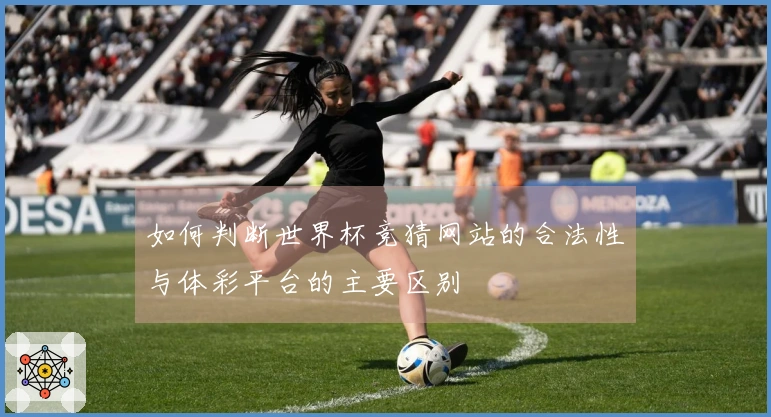 如何判断世界杯竞猜网站的合法性与体彩平台的主要区别