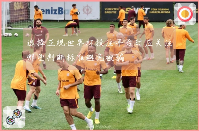 选择正规世界杯投注平台时应关注哪些判断标准避免被骗