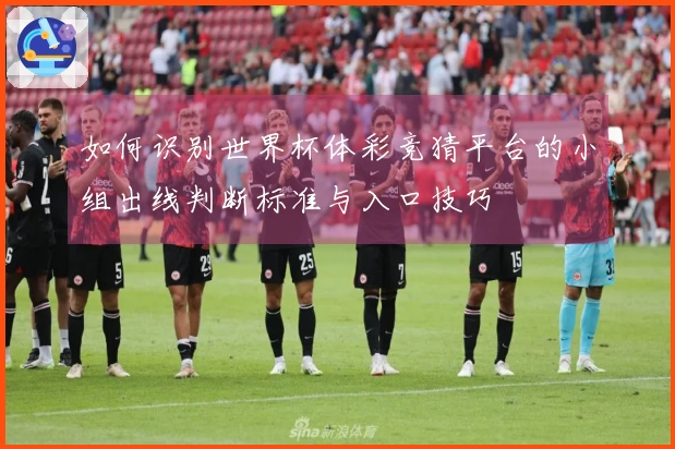 如何识别世界杯体彩竞猜平台的小组出线判断标准与入口技巧