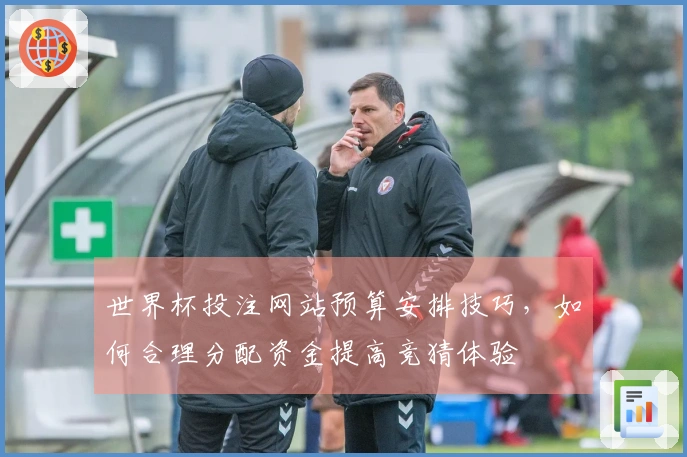世界杯投注网站预算安排技巧，如何合理分配资金提高竞猜体验