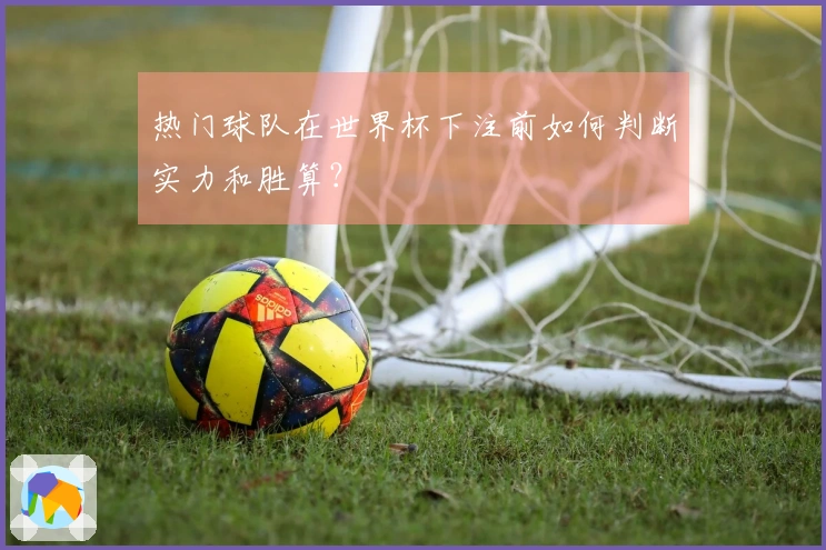 热门球队在世界杯下注前如何判断实力和胜算？