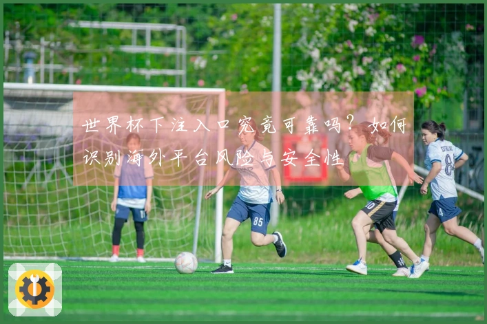 世界杯下注入口究竟可靠吗？如何识别海外平台风险与安全性