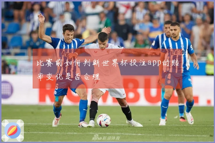 比赛前如何判断世界杯投注app的赔率变化是否合理