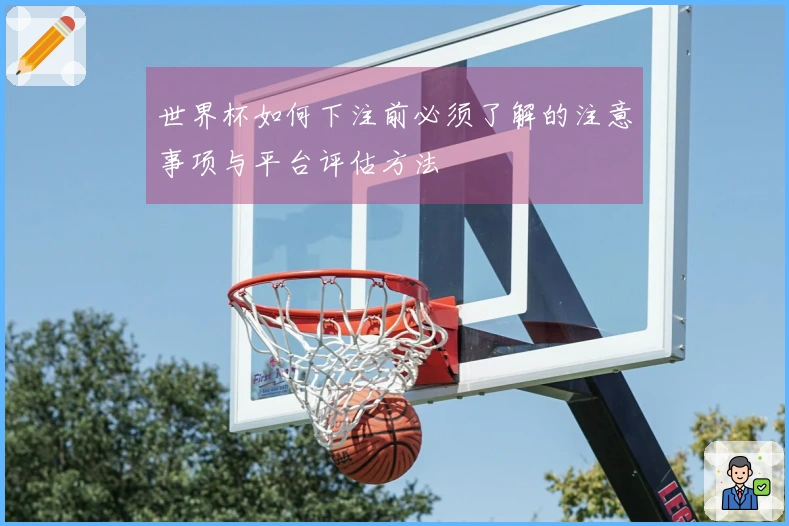 世界杯如何下注前必须了解的注意事项与平台评估方法