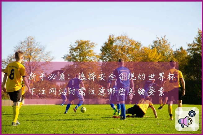 新手必看：选择安全合规的世界杯下注网站时需注意哪些关键要素