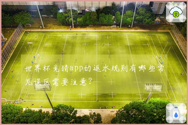 世界杯竞猜app的返水规则有哪些常见误区需要注意？