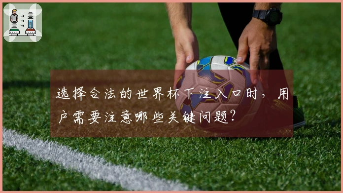选择合法的世界杯下注入口时，用户需要注意哪些关键问题？