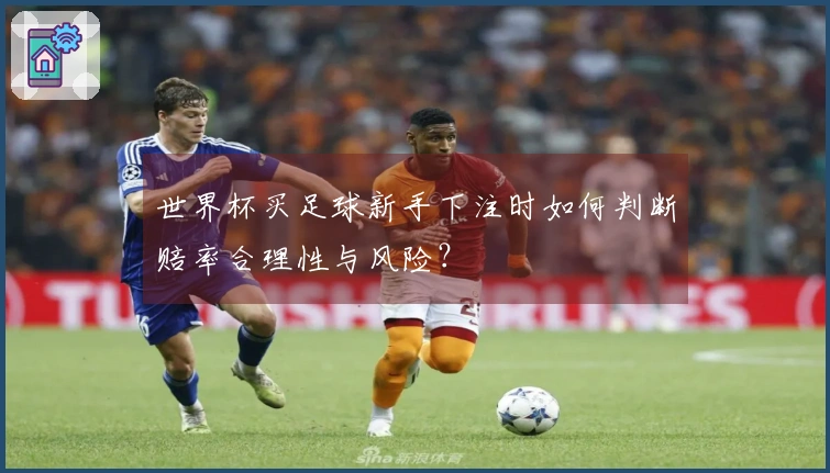 世界杯买足球新手下注时如何判断赔率合理性与风险？
