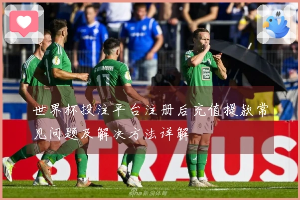 世界杯投注平台注册后充值提款常见问题及解决方法详解