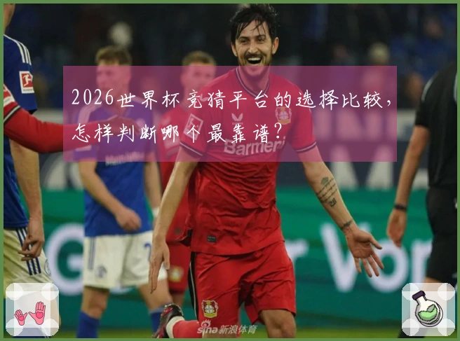 2026世界杯竞猜平台的选择比较，怎样判断哪个最靠谱？