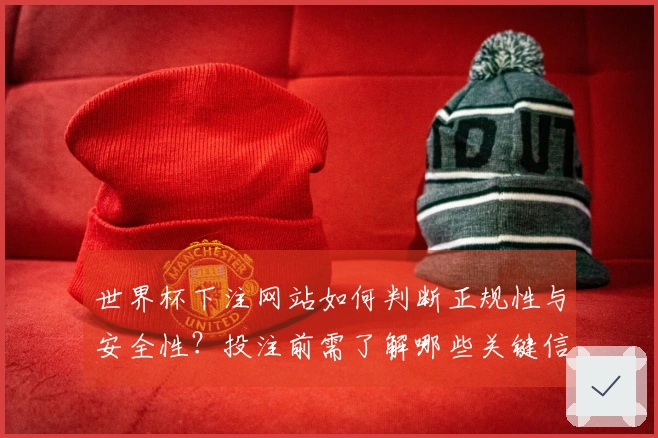 世界杯下注网站如何判断正规性与安全性？投注前需了解哪些关键信息