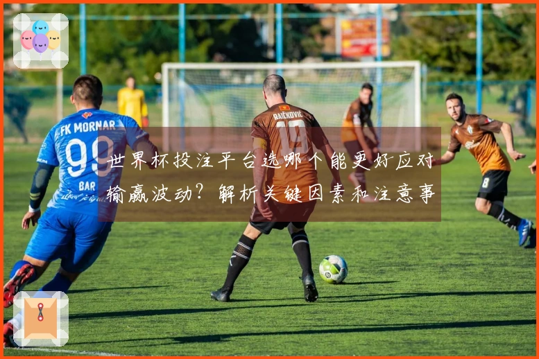 世界杯投注平台选哪个能更好应对输赢波动？解析关键因素和注意事项