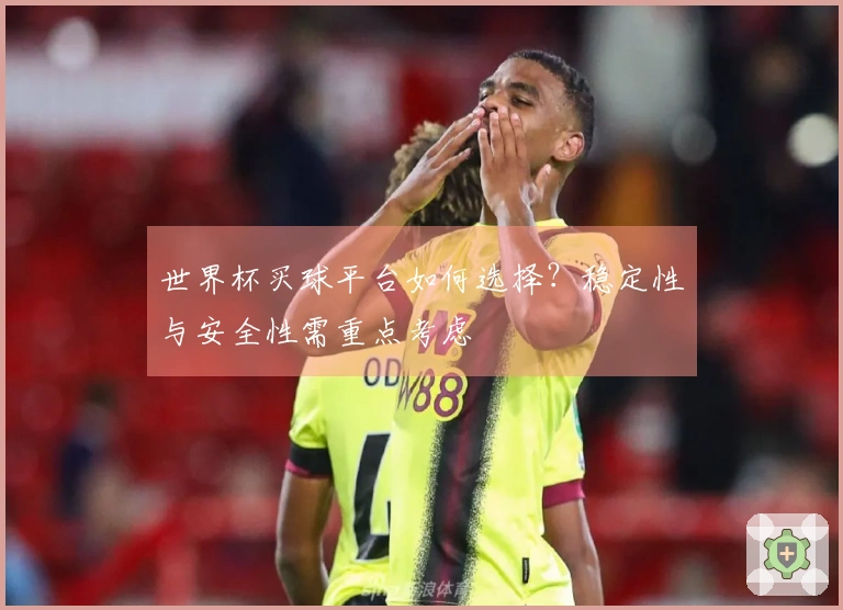 世界杯买球平台如何选择？稳定性与安全性需重点考虑