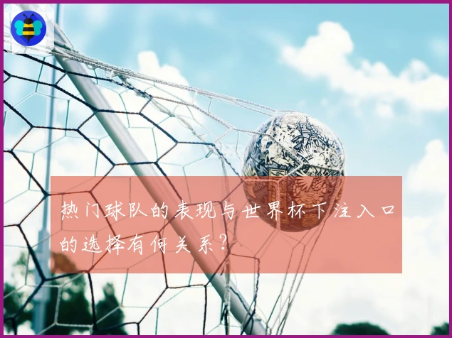 热门球队的表现与世界杯下注入口的选择有何关系？