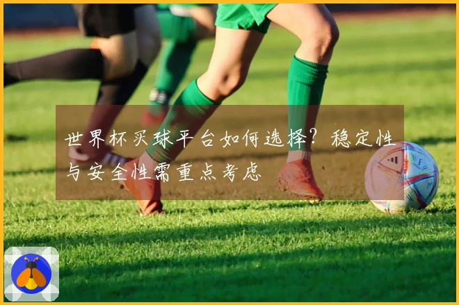 世界杯买球平台如何选择？稳定性与安全性需重点考虑