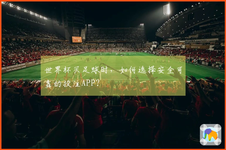世界杯买足球时，如何选择安全可靠的投注APP？