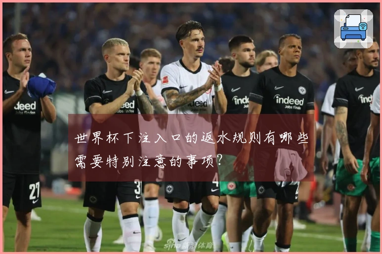 世界杯下注入口的返水规则有哪些需要特别注意的事项？