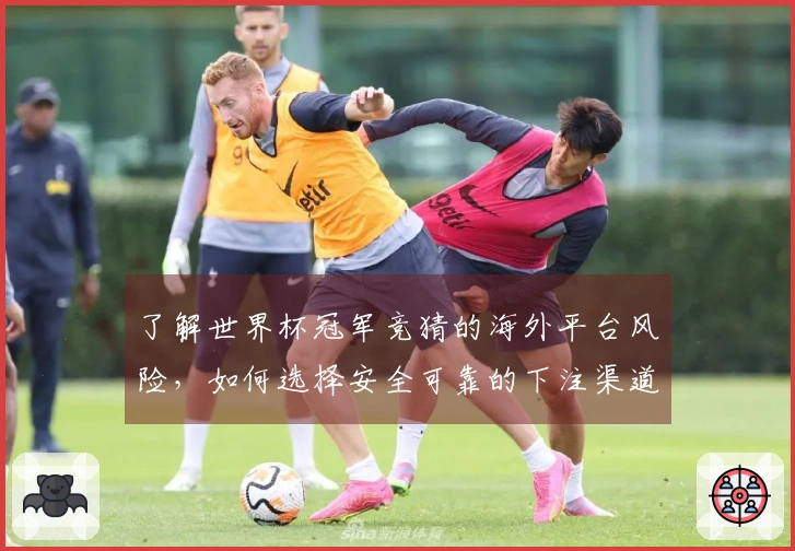 了解世界杯冠军竞猜的海外平台风险，如何选择安全可靠的下注渠道？