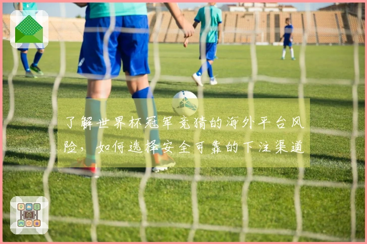 了解世界杯冠军竞猜的海外平台风险，如何选择安全可靠的下注渠道？
