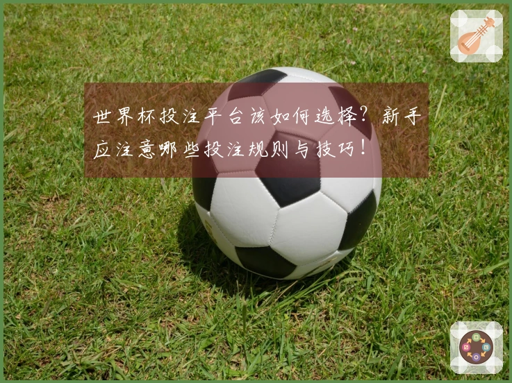 世界杯投注平台该如何选择？新手应注意哪些投注规则与技巧！