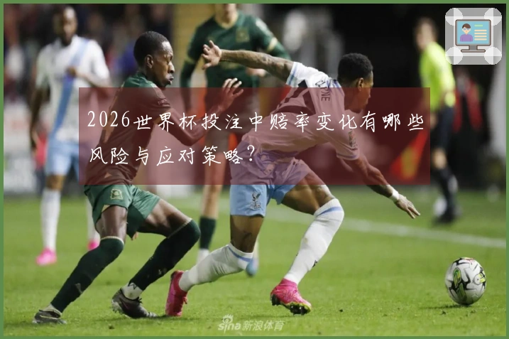2026世界杯投注中赔率变化有哪些风险与应对策略？